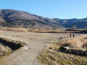 田んぼ道を進んだ〜