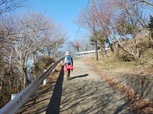 �A�X�t�@���g�̓�