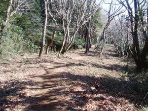 �Ȃ��炩�ȓ�