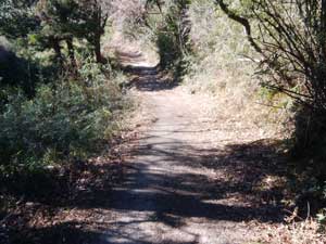 �o�R���I�ȏꏊ����̓�