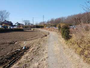 田んぼ道を進む〜