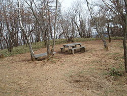 �������̓�