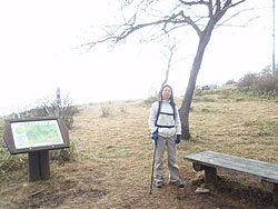 ���[�ɂ͑���