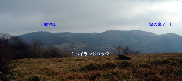 �R���t�߂���̒���