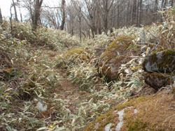 �����̓�