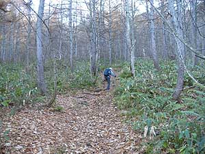 ���򂩂�̓o�R��