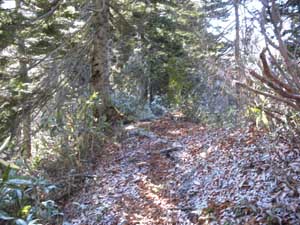 ��������i�񂾁B