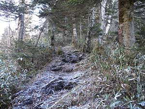 �W������̓o�R��