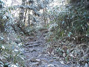 �ӂ�́A�^�����`�`