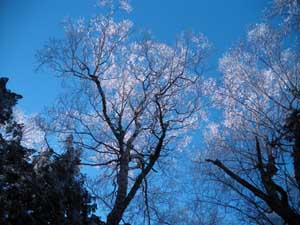 �ƂĂ����ꂢ�`�`