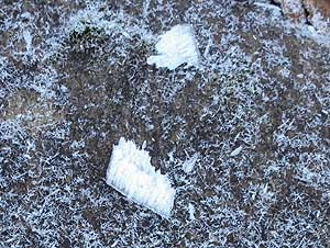 �o�T�o�T�Ɖ������Ăė����Ă���`