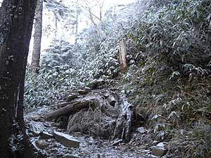 �o�R���̎Γx�������Ă����`