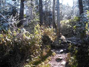 �ɂ₩�Ȗ��邢�������ɂȂ����B