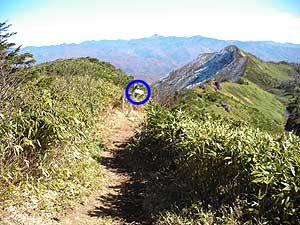 �R������̓o�R���B