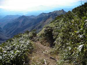 ���򂩂�̓o�R���B