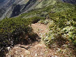 ���\�ȎΓx�ŉ���B