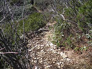 結構な斜度で下る。