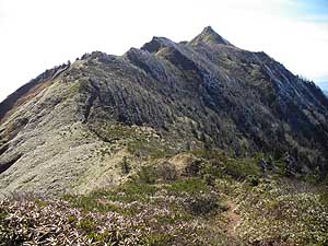 �A�b�v�_�E���͑����`�`