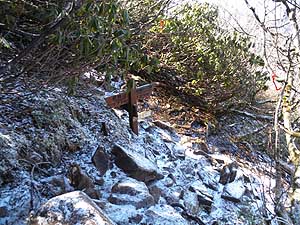 ������R����