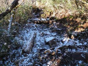 ������R���򂩂�̓o�R���B