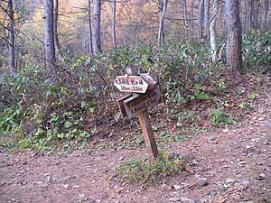  ����̕W��