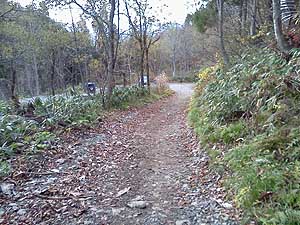 ���ԏꂪ�����Ă���