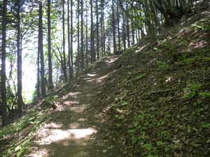 �Ԃ���������̓o�R��