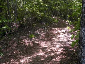 �x���`����̓o�R���B