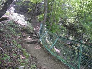 ���򂩂�̓o�R���B