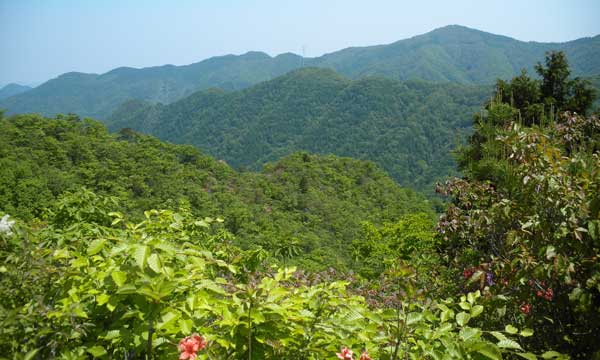 �R������̒���