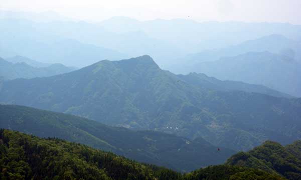 �R������̒���