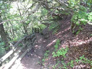 �_�Ђ���̓o�R���B