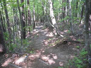 �x���`����̓o�R��