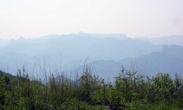 ���ԏꂩ��̒���