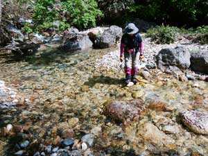 �R�����d�R�R��