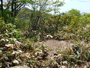 �����R�H