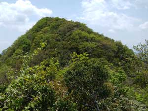 ���򂩂�̓�