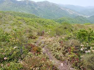 ���R�J�n�`