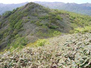 ���򂩂�̓o�R��