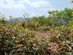 �����R �R��