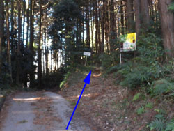 �n�C�L���O�R�[�X����