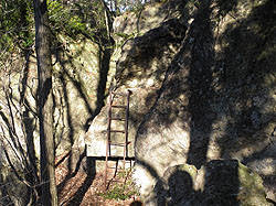 ���i�̂͂���