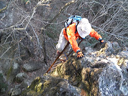 �{�ʂ̒����̂͂���