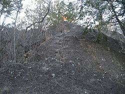 ���i�̂͂���