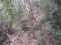 ����������i�񂾁B