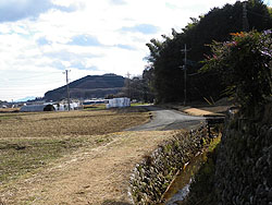 �A�X�t�@���g�̎ԓ�