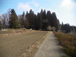 ��C�_�Ђւ̓��B