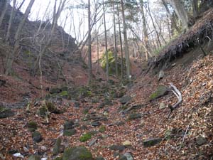 ��ʂ�R�[�X