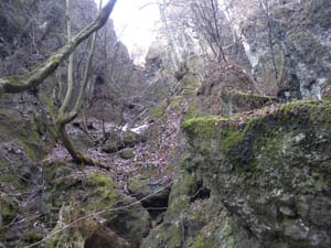 �Z���ڂ̐Δ肩��̓o�R���B