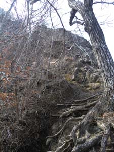 �R�������̍���